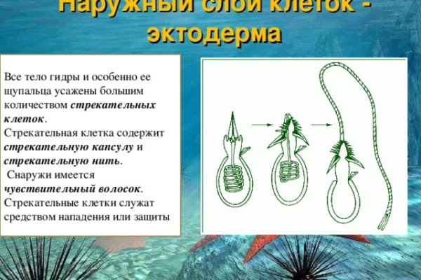 Kraken ссылка зеркало krakentor site