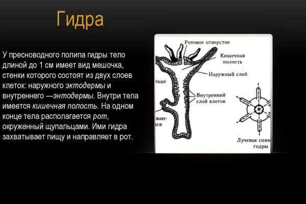 Работает ли кракен