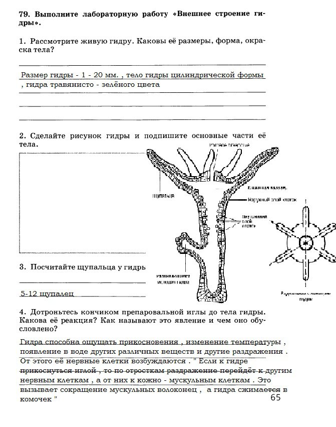 Кракен даркнет только через стор