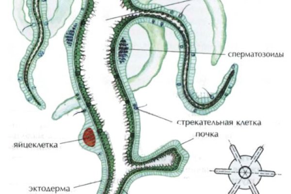 Как зайти в кракен с андроида