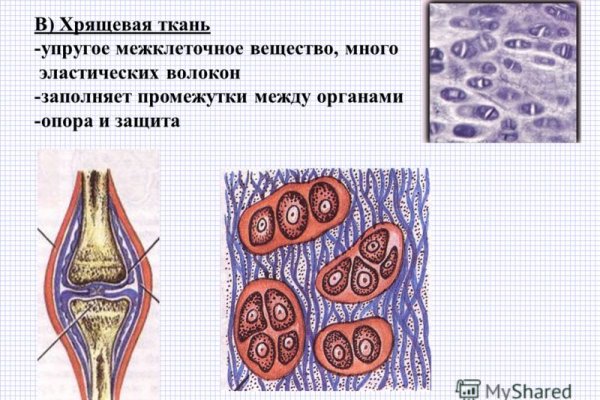 Кракен купить порошок маркетплейс