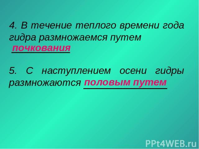 Наркотики заказать