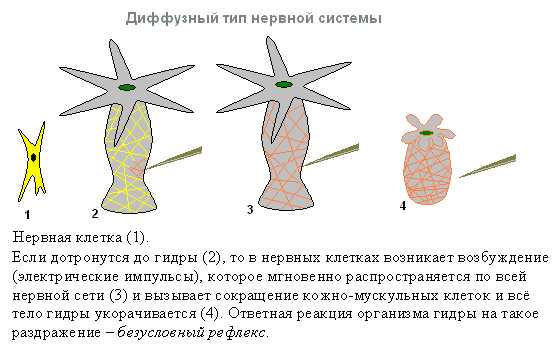 Кракен рабочее на сегодня сайт